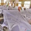 ডেঙ্গু আক্রান্ত হয়ে আরও ১২৩ জন হাসপাতালে
