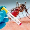ডেঙ্গুতে আরও ৬ মৃত্যু, আক্রান্ত ৬৩ হাজার ছাড়াল