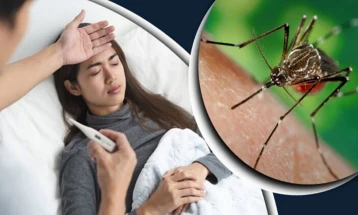 ডেঙ্গুতে একদিনে ৬ মৃত্যু, মোট প্রাণহানি ২৩৯
