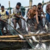 জেলেদের জন্য ১ হাজার ৬৫৭ টন ভিজিএফ চাল বরাদ্দ