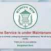 তৃতীয় দিন ধরে বন্ধ বাংলাদেশ ব্যাংকের ওয়েবসাইট